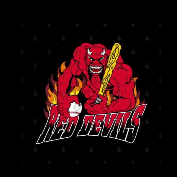 Flemington Red Devils 11U Black