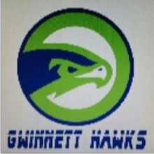 Gwinnett Hawks