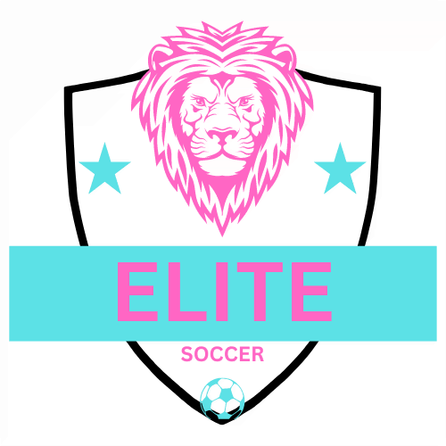 Team Elite 2013 Girls