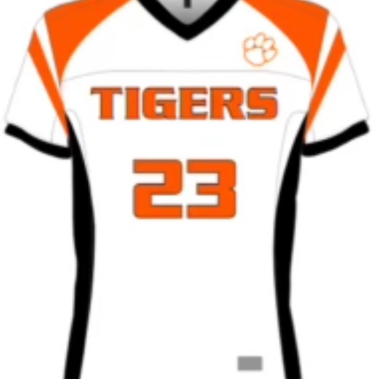 Hackettstown Tigers Flag