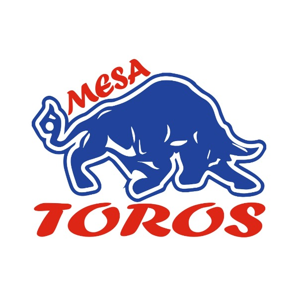 13U Mesa Toros