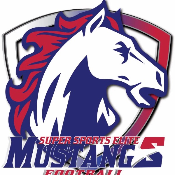 Super Star Elite 8 University