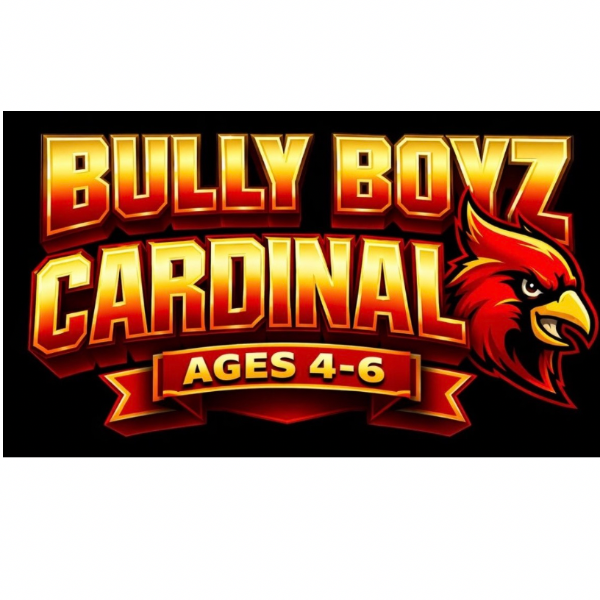 Bully Boyz Dallas Cardinals 6U
