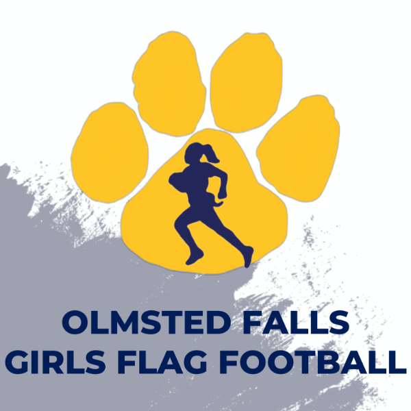 Olmsted Falls Bulldogs 10u Girls
