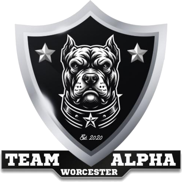 Worcester Cowboys Team Alpha Premier 2025 14U