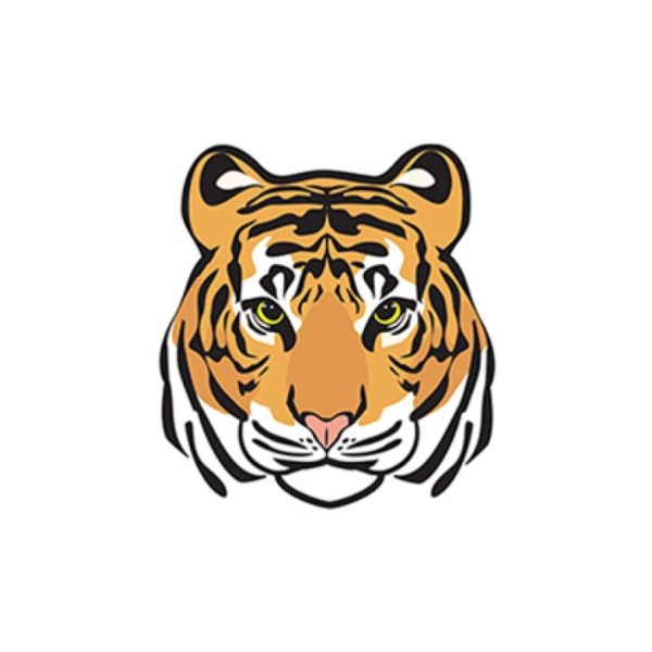 ELLIS TIGERS