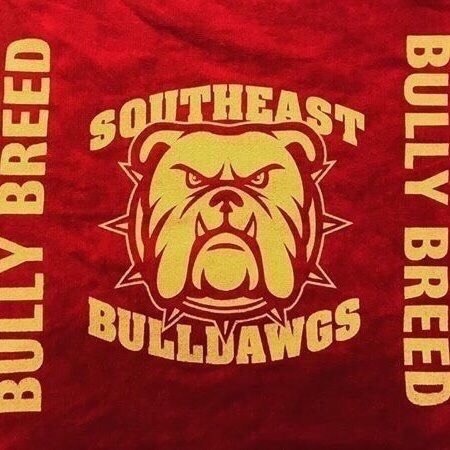 SE BULLDAWGS 12U
