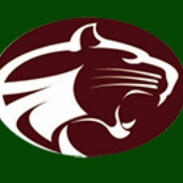 Ridge Jr Mountain Lions 14U