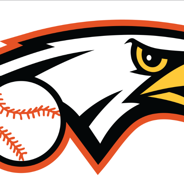 EHT Eagles 10U Black