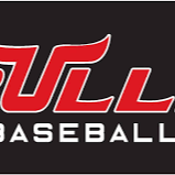 Bullpen Bulls 14u