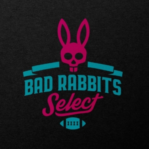 BAD RABBITS 14U BOYS