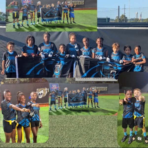 Majestic Park Panthers