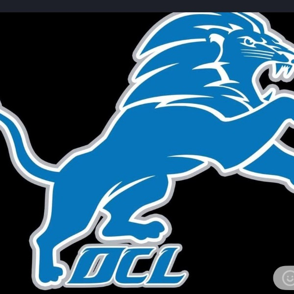 Detroit City Lions 12u 2025