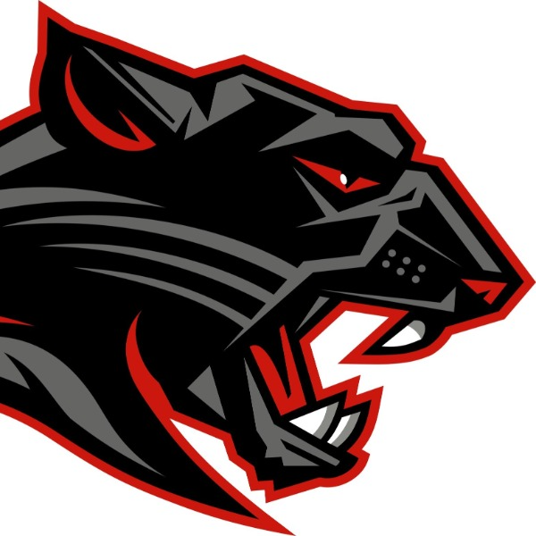 Flagstaff Panthers 13U