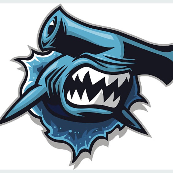 Hendersonville Hammerheads