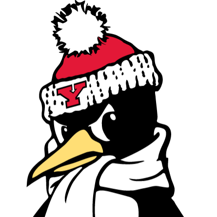 YYFFA Penguins 13u