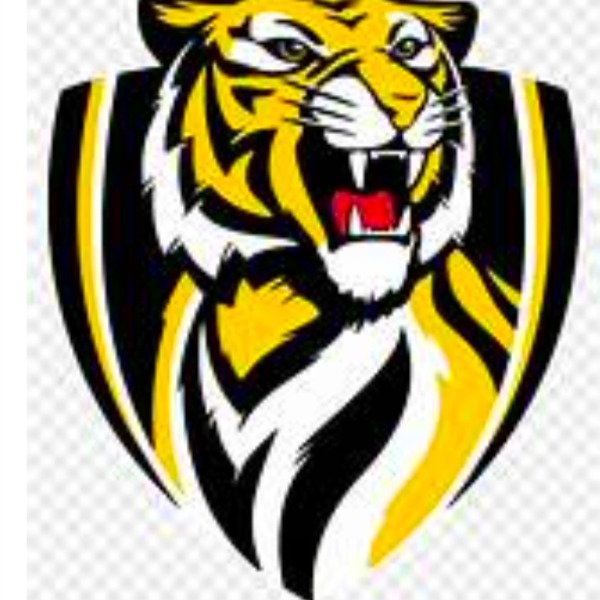 Green Forest Tigers U11