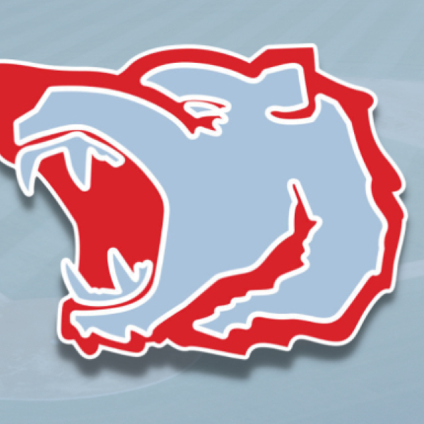 Bruins Elite 14u Blue