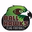 Mile High Ball Hawks