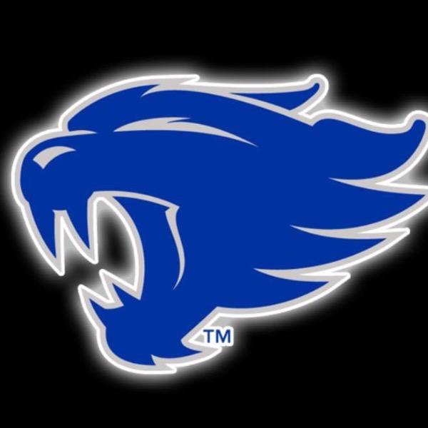 Motor city wildcats 10u