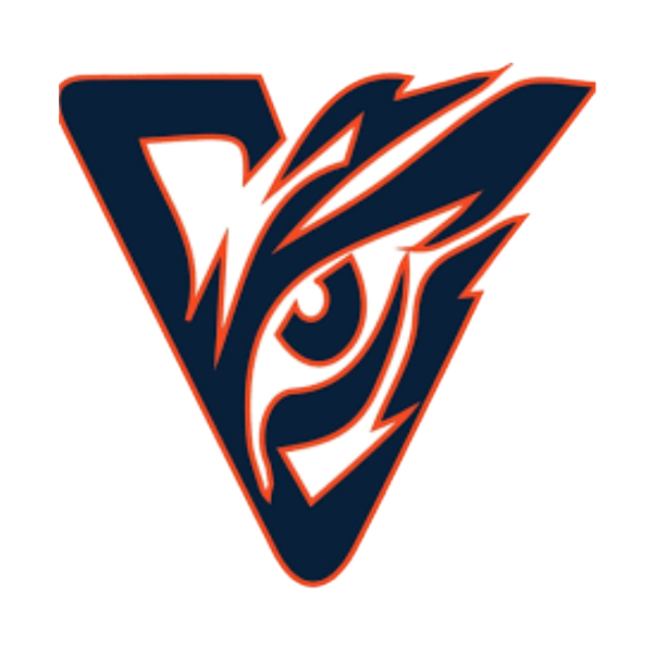 Visions Select Baseball 13u