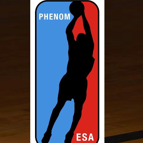 Phenom Elite Skills Academy