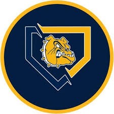 Olmsted Falls Bulldogs