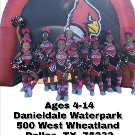 DALLAS CARDINALS 10 u CHEER