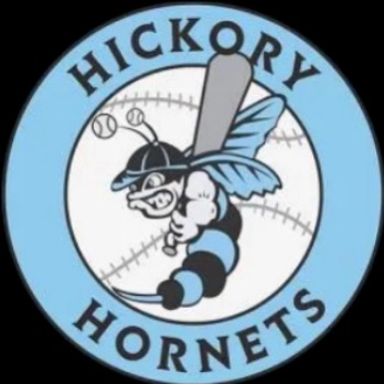 Hickory Hornets Black