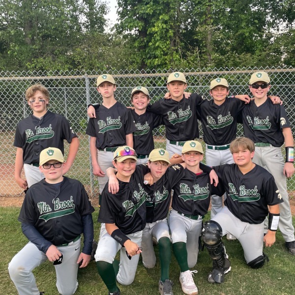 Mountain Brook White