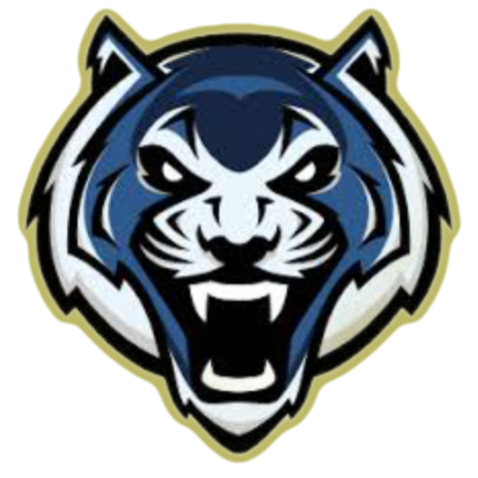 Douglasville Tiger Cubs 12U Blue 2025