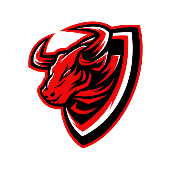 Bulls Nation Basketball 2033