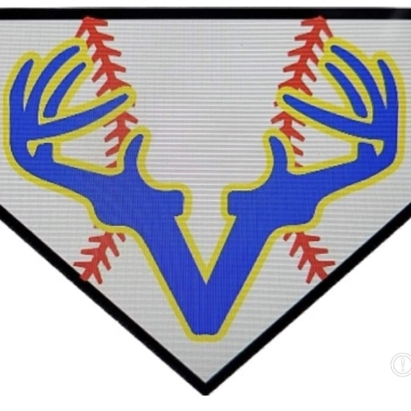 Venados Baseball Brothers