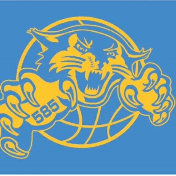 585 Bobcats