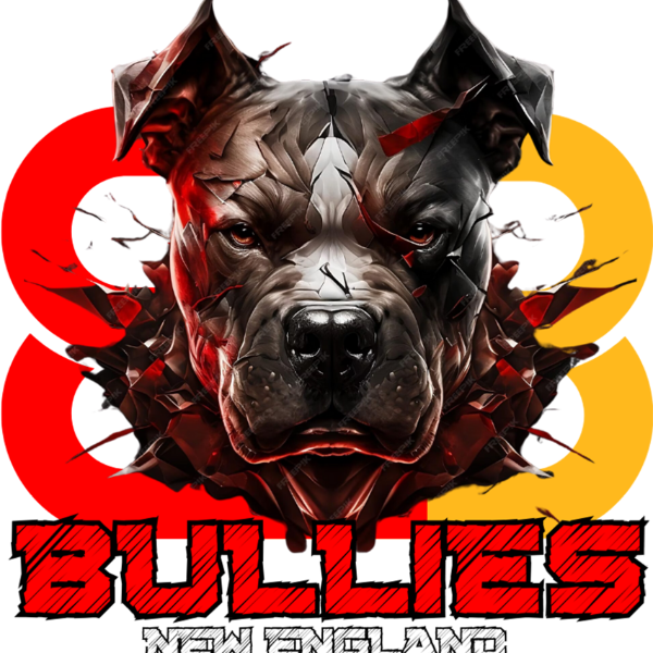 12u - D1NE Bullies (D1NE-12u) 2024