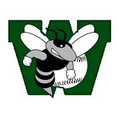 Williamston stings Moyle12U