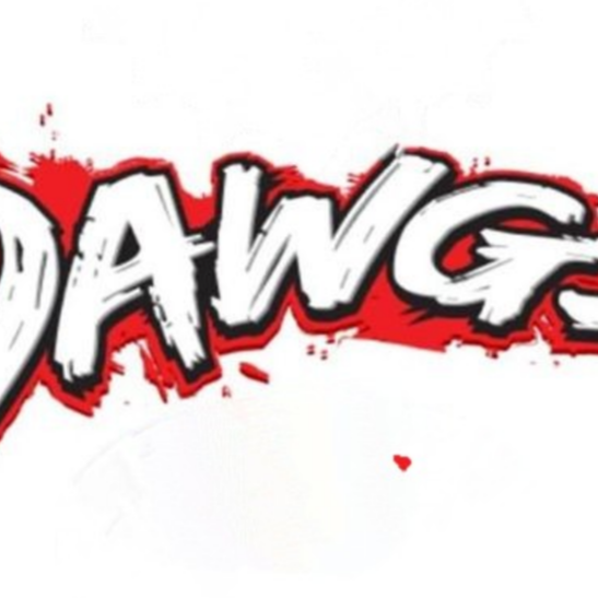 $iN CiTY DAWG'S 12U F25