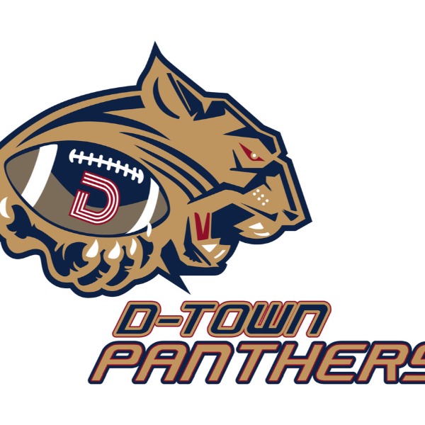 D-Town Panthers Cheer 12u