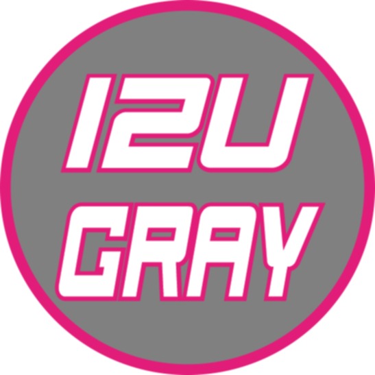 TEAM STEEL MVP GRAY 12U