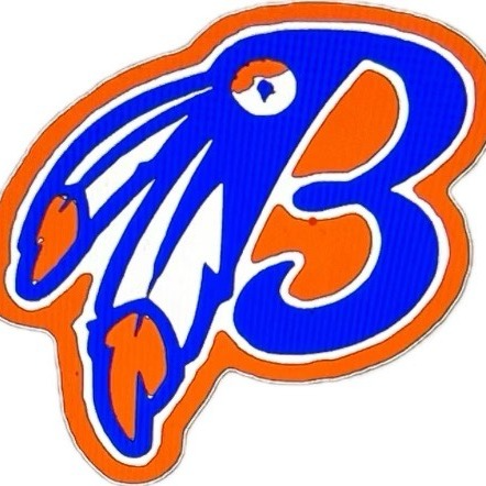 Lowcountry Braves 11U