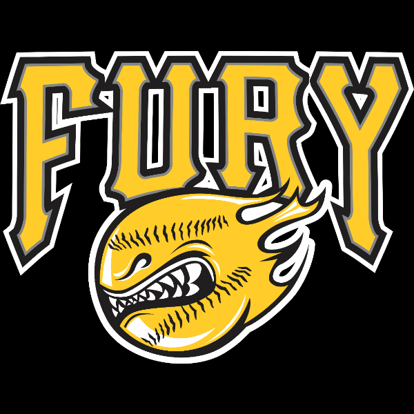 Fury Baseball Black