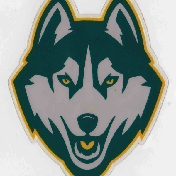 Arizona NE Valley Jr. Huskies 14U Team