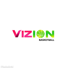 Vizion 17u
