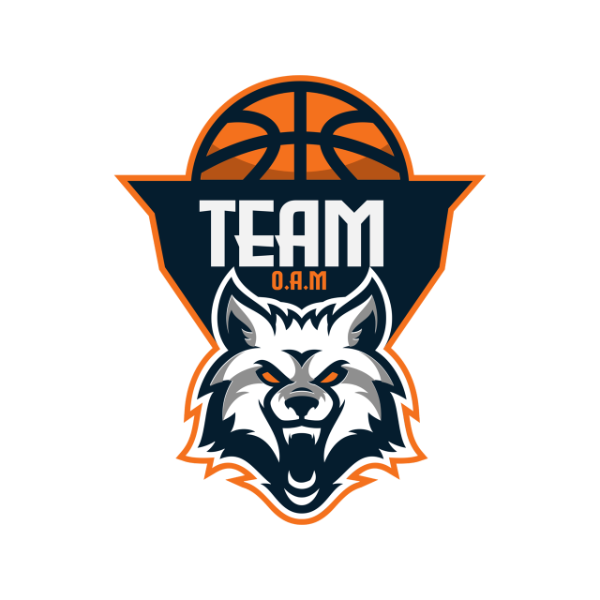 Team On A Mission( Team OAM