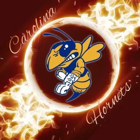 Carolina Hornets 2028