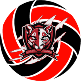 Pinecrest Cadence Black B (Liugalua) MS Boys Volleyball