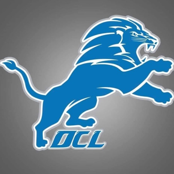 Detroit City Lions 11U