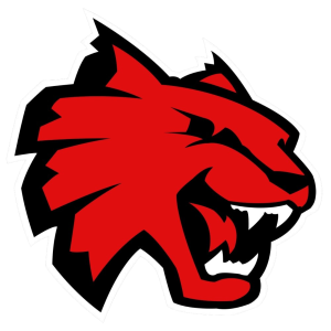 Elite Las Vegas Wildcats 13U F23