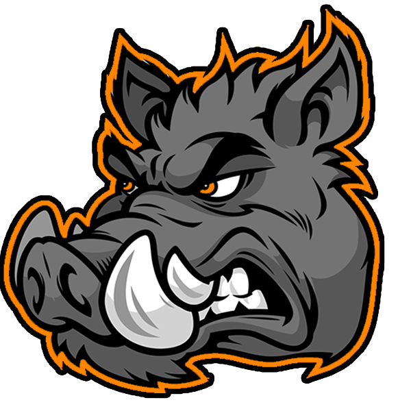 Bay County Ballhawgs