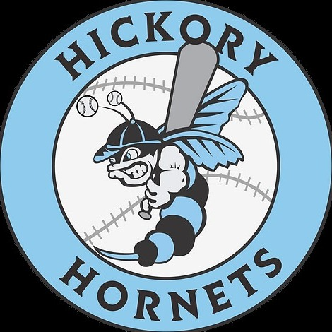Hickory Hornets 12u